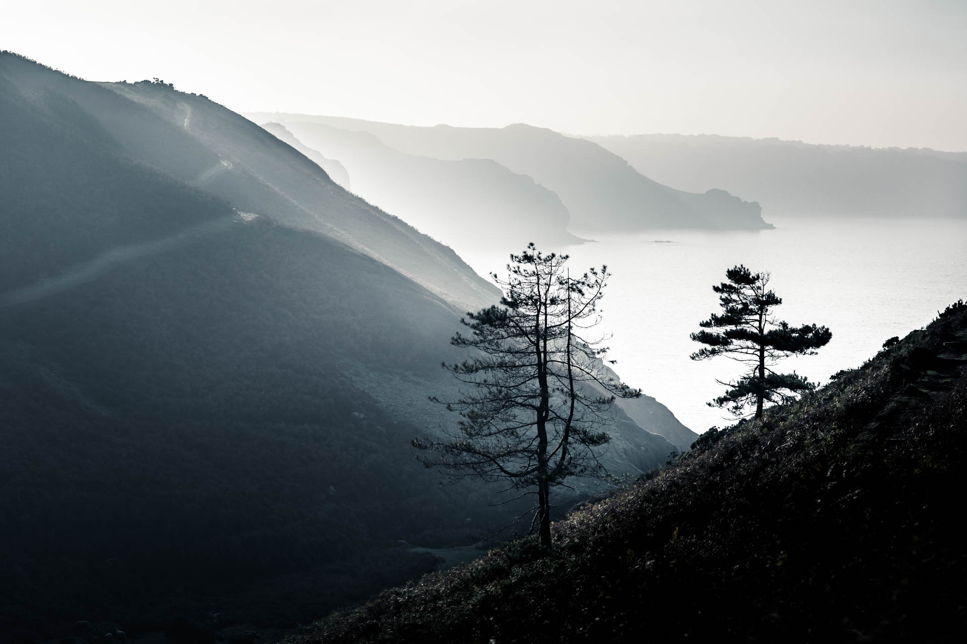 Jersey's north coast